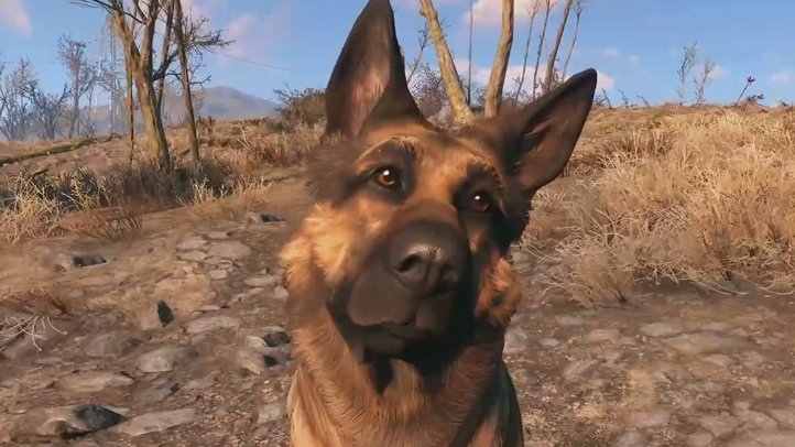 Fallout 3 dogmeat missing