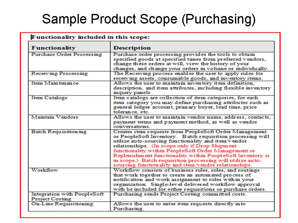Project scope description example